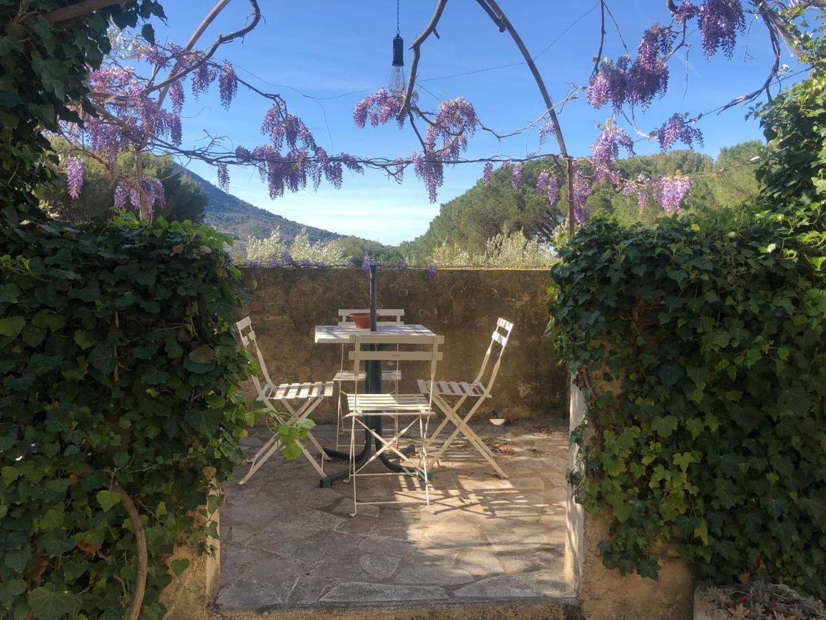 La Picholine En Provence Ξενοδοχείο Nyons Εξωτερικό φωτογραφία